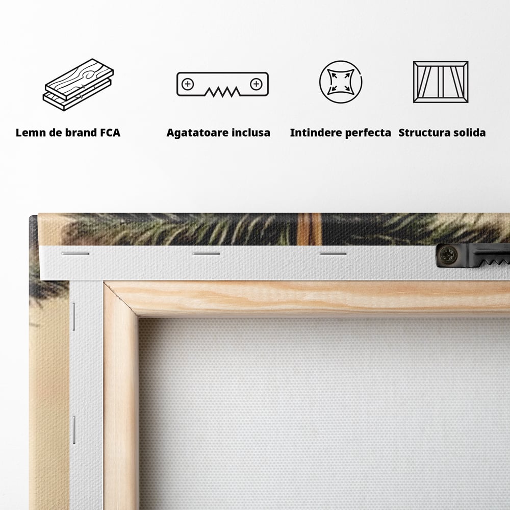 Spatele produsului, cu sasiu din lemn, capse metalice si agatatoare